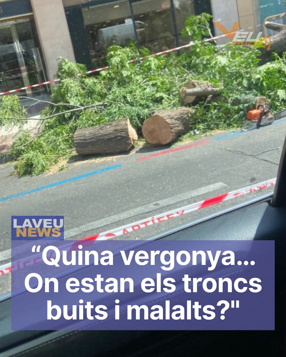 #laveunews: Crítiques al govern local per la tala d’arbres a l’av. Rovira Roure. En plena onada de calor, veïns denuncien la pèrdua d’ombra i asseguren que els troncs eren sans. La <a href="/paerialleida/">Ajuntament de Lleida</a> defensa que estaven en mal estat i promet replantar-los a l’octubre. #Lleida