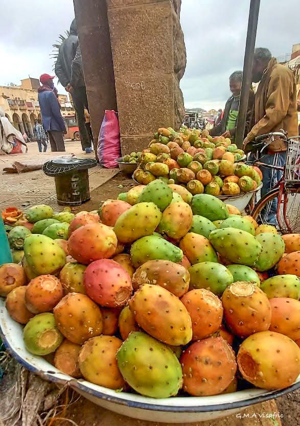 AfCFTA_Eritrea's tweet photo. Beles, (በለስ) the local name for cactus pear (Opuntia ficus-indica), is #Eritrea 's most popular fresh fruit during the rainy season. @shabait
#Eritreanfruit #Beles https://t.co/PkQqyrb283