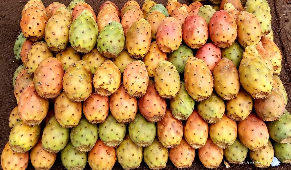 AfCFTA_Eritrea's tweet photo. Beles, (በለስ) the local name for cactus pear (Opuntia ficus-indica), is #Eritrea 's most popular fresh fruit during the rainy season. @shabait
#Eritreanfruit #Beles https://t.co/PkQqyrb283