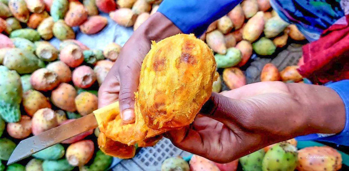 AfCFTA_Eritrea's tweet photo. Beles, (በለስ) the local name for cactus pear (Opuntia ficus-indica), is #Eritrea 's most popular fresh fruit during the rainy season. @shabait
#Eritreanfruit #Beles https://t.co/PkQqyrb283