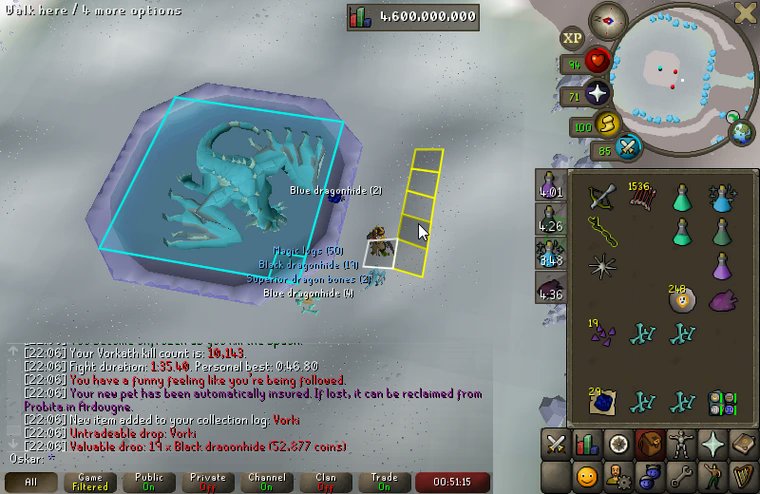 Pet #15 - Vorki