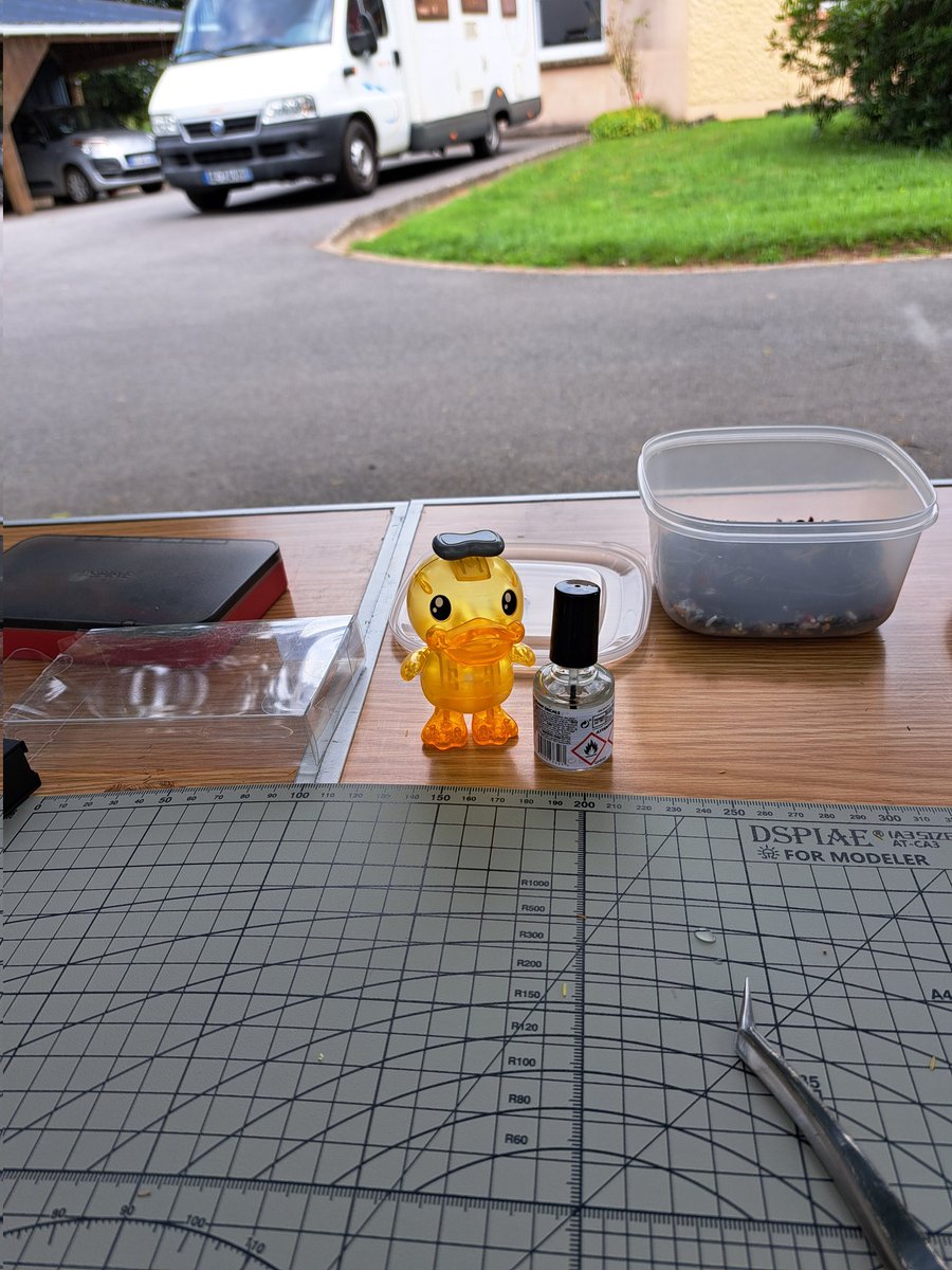 VelvetJr tweet media