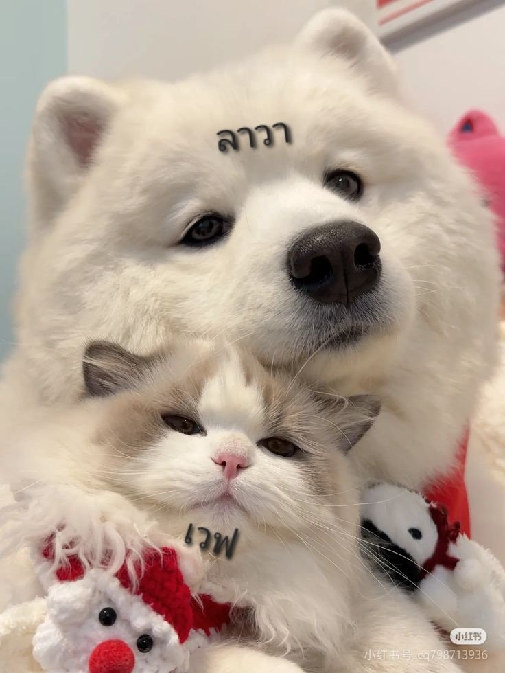 ผมไม่อบอุ่นตรงไหนน