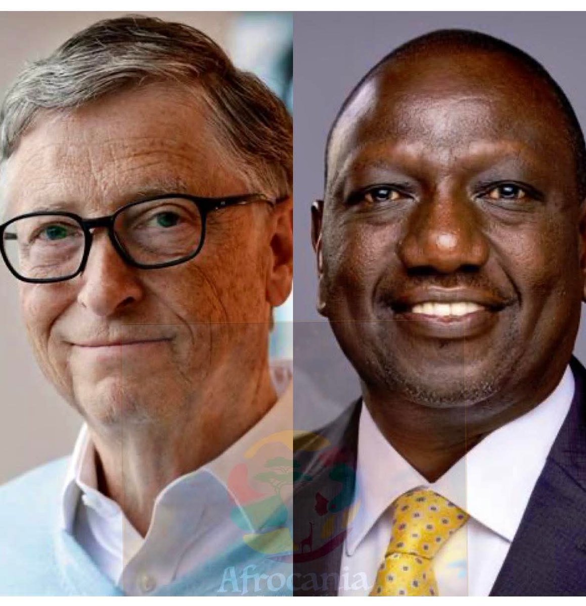 OliverAsaah's tweet photo. Ruto of Kenya is a puppet and a traitor to Kenya and Africa.  He accepted for Bill Gates to use Kenyans as Guinea pigs for his birth control implants. Africa doesn't need birth control. She needs sovereignty to develop her resources and take care of herself. Africa 70% arable lan https://t.co/JLB2y8Qpe1