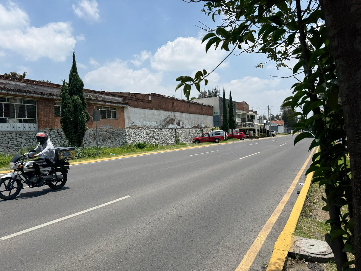 asoc_a's tweet photo. Solicitamos revisión del #dictamen #derribo de 3 #Palmeras en #Forjadores y #calle Guerrero #PueblabURGE #reposición #LeyArbolado  @agenda_caav @ArborismoC @AmbienteGobPue https://t.co/PxatMT902j