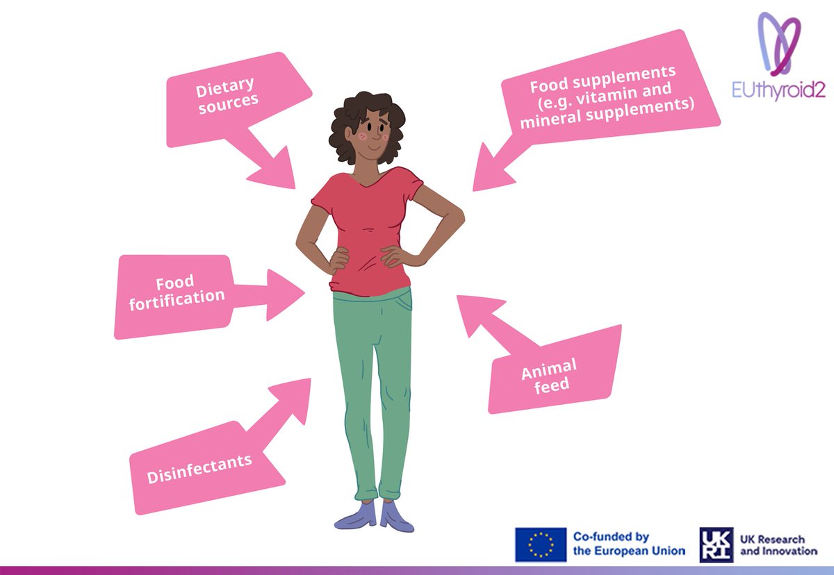 EUthyroid2 tweet media