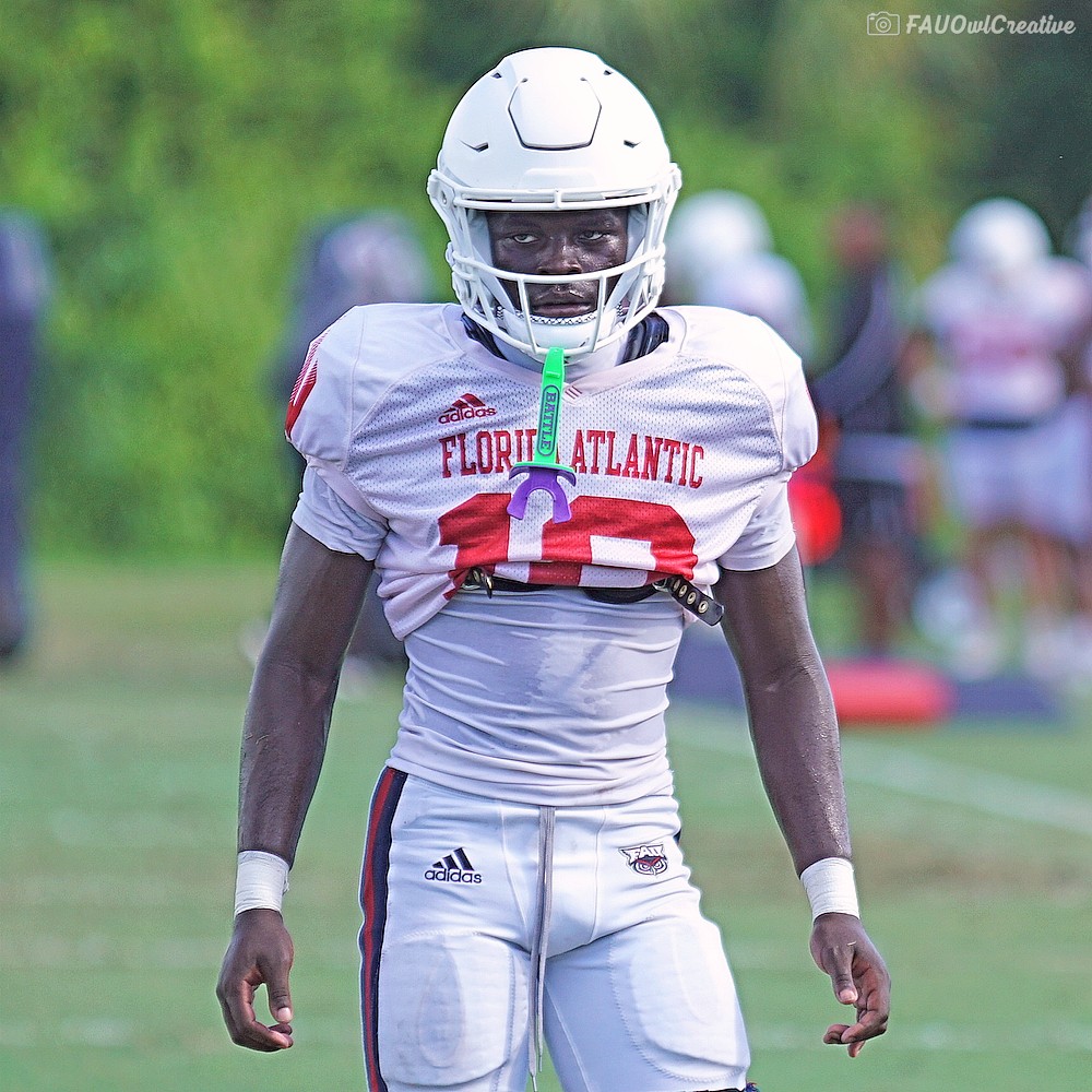 FAU Owls Nest tweet media