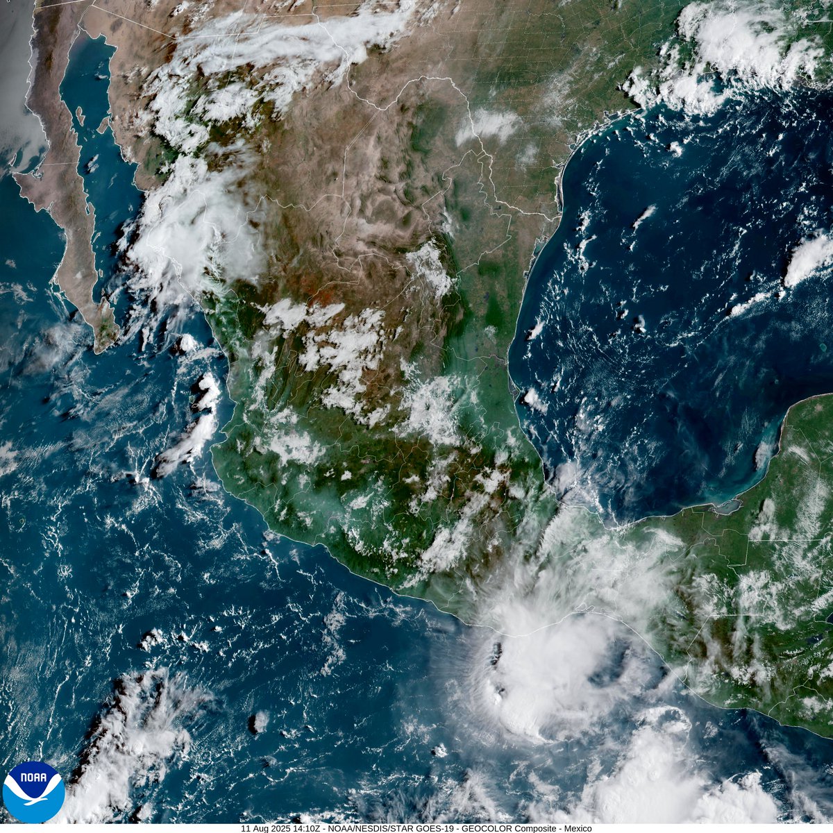 InfoMeteoro's tweet photo. ⚠️PRONÓSTICO LUNES 11/AGO/2025

🚨PRECAUCIÓN, SEGUIRÁN INTENSAS LLUVIAS‼️

🔴⛈️TORMENTAS/LLUVIAS FUERTES (MAYOR EXTENSIÓN, GRANIZO)
-Pue, Hgo, Tlax, EdoMex, CDMX, Mor, Jal, Mich, Gro, Oax, Chis, Sierra Madre Occidental

🌦️DISPERSAS (FUERTES C/GRANIZO, MENOR EXTENSIÓN)
-Camp, Yuc, QRoo, Tab, Ver, NL, Tamps, Coah, SLP, Zac, Ags, Gto, Qro, Nay, Col, Sin, Dgo, Son, Chih, BCS, BC

🌡️AMBIENTE DIURNO☀️
😌Fresco/templado 15-25ºC centro
😅Templado/caluroso 26-35ºC Altiplano, oriente, occidente, Pacífico Sur, Bajío
🥵Muy Caluroso 36-44ºC noroeste, norte, noreste, sureste

🌬️FUERTES RÁFAGAS de viento en estados del norte, Altiplano y especialmente en tormentas…