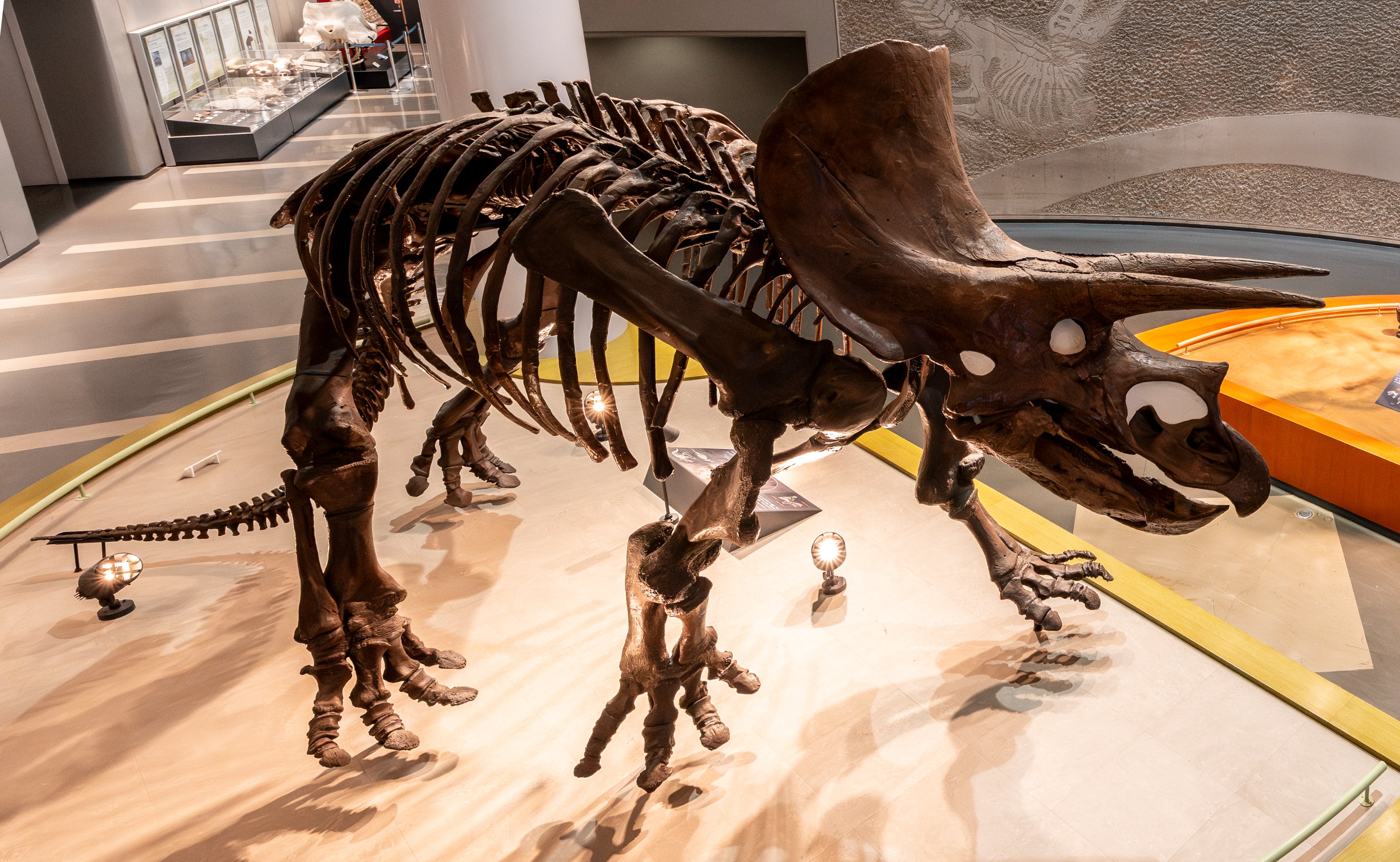 雲くじら (@CbK2cA4AkktKJge) / X