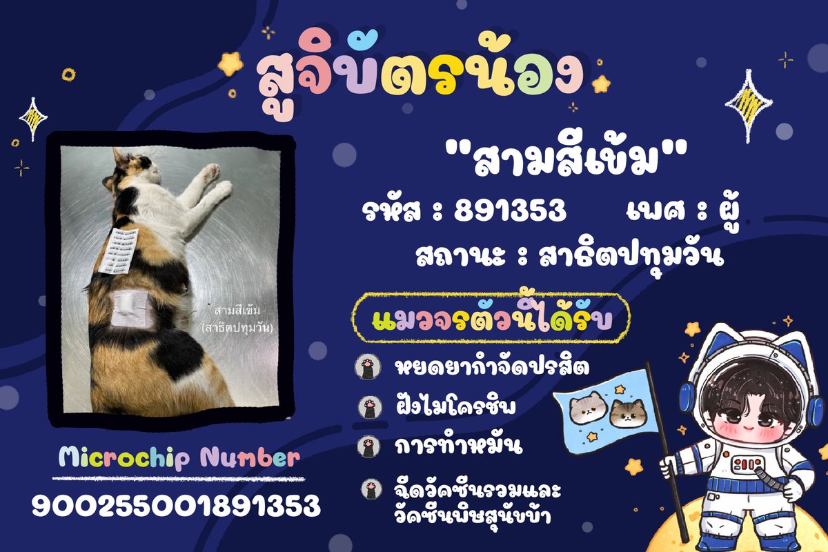 NetOfficialTH's tweet photo. 𝐼𝐹 𝐿𝑂𝑉𝐸 𝐹𝑂𝑅 𝑌𝑂𝑈 𝐻𝐴𝐷 𝐴 𝑆𝐻𝐴𝑃𝐸, 
𝐼𝑇 𝑊𝑂𝑈𝐿𝐷 𝐵𝐸 𝐼𝑁𝐹𝐼𝑁𝐼𝑇𝑌 🌌🚀💫

SPONSOR THE NEUTERING OF STRAY CATS 🐈‍⬛💖
Net Siraphop’s Birthday Projects 2025
🎂 #Net28thBDProject for @netsiraphop 

บ้านพี่เน็ตขอนำน้องแมวจรจำนวนทั้งหมด 9 ตัวที่ได้รับการอุปถัมภ์ทำหมันจากพี่ ๆ ชาว #HAPPINET ทุกท่านมาให้ได้รู้จักกันค่ะ 🐈💖

ขอขอบคุณทาง @johnjud_cu อีกครั้งและพี่ ๆ แฟนคลับทุกท่านเลยนะคะ 🙏🏻🥰

@netsiraphop
#netsiraphop
#HappyNetDay2025