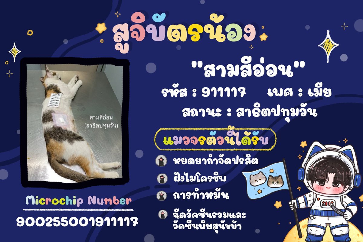 NetOfficialTH's tweet photo. 𝐼𝐹 𝐿𝑂𝑉𝐸 𝐹𝑂𝑅 𝑌𝑂𝑈 𝐻𝐴𝐷 𝐴 𝑆𝐻𝐴𝑃𝐸, 
𝐼𝑇 𝑊𝑂𝑈𝐿𝐷 𝐵𝐸 𝐼𝑁𝐹𝐼𝑁𝐼𝑇𝑌 🌌🚀💫

SPONSOR THE NEUTERING OF STRAY CATS 🐈‍⬛💖
Net Siraphop’s Birthday Projects 2025
🎂 #Net28thBDProject for @netsiraphop 

บ้านพี่เน็ตขอนำน้องแมวจรจำนวนทั้งหมด 9 ตัวที่ได้รับการอุปถัมภ์ทำหมันจากพี่ ๆ ชาว #HAPPINET ทุกท่านมาให้ได้รู้จักกันค่ะ 🐈💖

ขอขอบคุณทาง @johnjud_cu อีกครั้งและพี่ ๆ แฟนคลับทุกท่านเลยนะคะ 🙏🏻🥰

@netsiraphop
#netsiraphop
#HappyNetDay2025