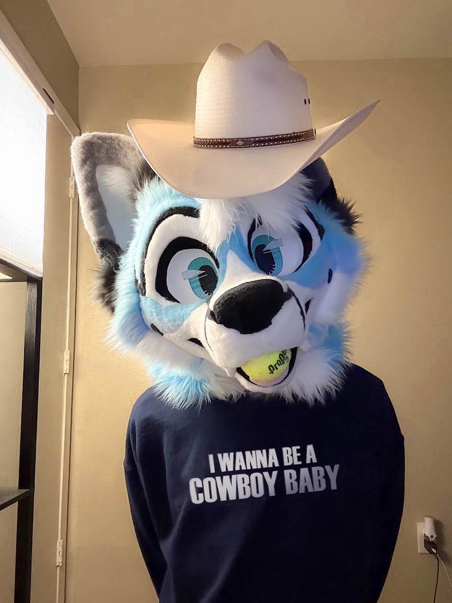 CybrFur's tweet photo. Yee-paw  🐾 🎾 🩵

🧵 @/sheenitude https://t.co/PPZiuYhj3X