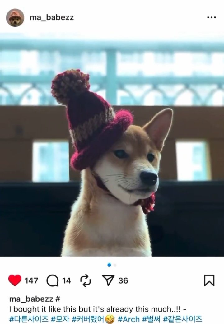 ByceRaymon61627's tweet photo. Interesting, $Achi also wore this red hat in the original #dogwifhat post. Pink yarn hat sold; this might be the last original. Grabbed $OWIF early.

$sol $boss $cogsec #chillfinge $hive $grug $drake $itg $anime #miniboss $noom #investor #balltze $etf $btc #trollboss #barkcoin https://t.co/PpwW39JDhc
