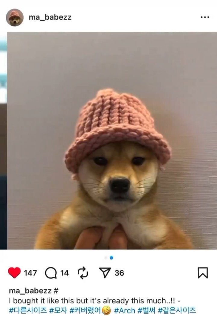 ByceRaymon61627's tweet photo. Interesting, $Achi also wore this red hat in the original #dogwifhat post. Pink yarn hat sold; this might be the last original. Grabbed $OWIF early.

$sol $boss $cogsec #chillfinge $hive $grug $drake $itg $anime #miniboss $noom #investor #balltze $etf $btc #trollboss #barkcoin https://t.co/PpwW39JDhc
