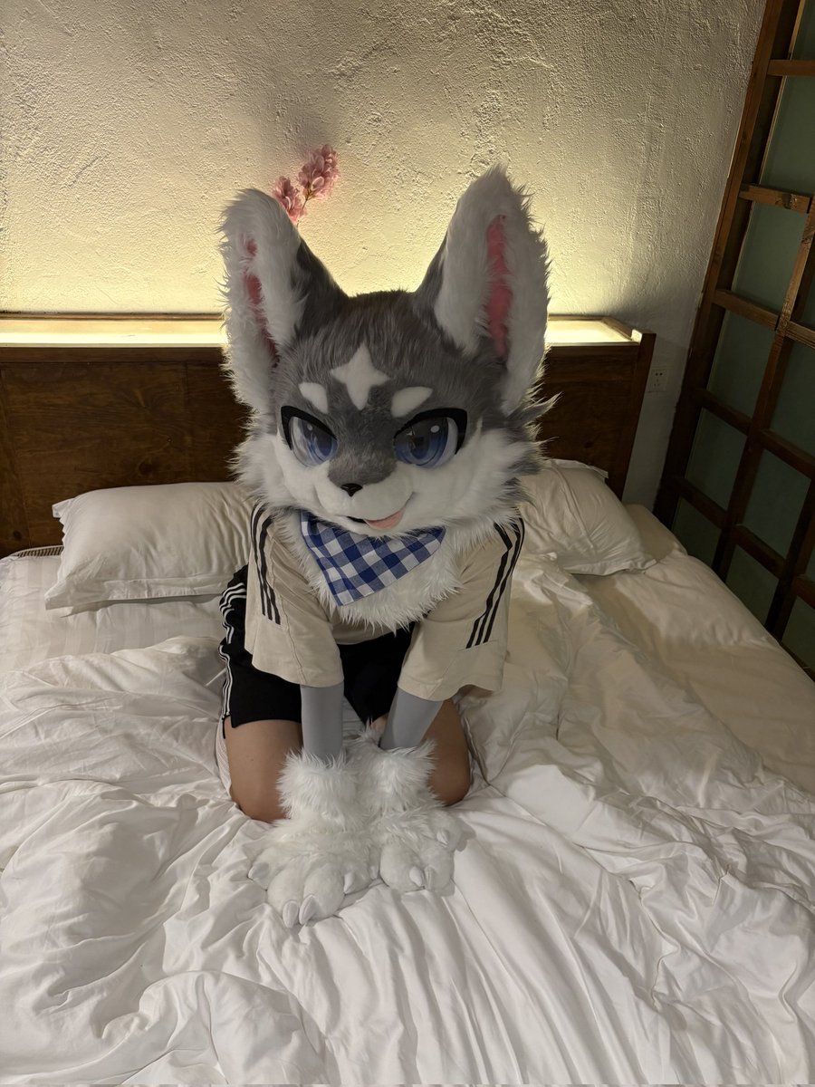 龙卷Tornado tweet media