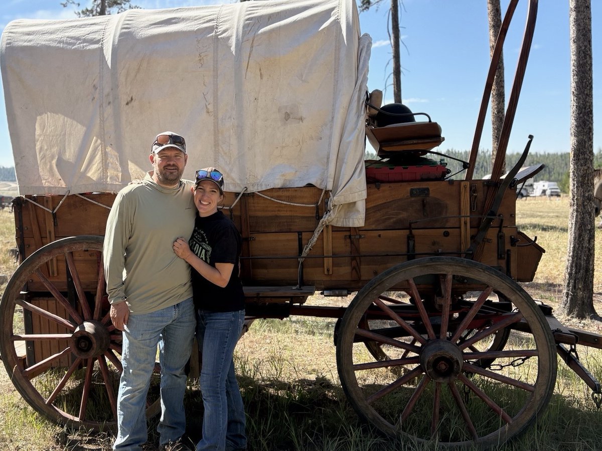 Back from another successful wagon train. 

Time to get to work!