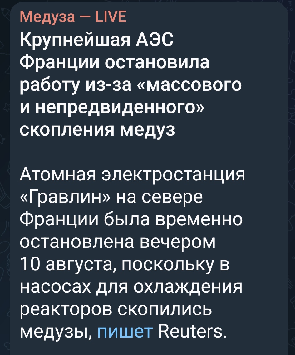 Скопление медуз, ветер северный, 
Материал надëжный, проверенный –
Лежит в насосах тяжкий груз, 
Скопление медуз, ветер северный, 
Медуза-Live нам пишет уверенно, 
Что не пожар АЭСы губит, а скопления медуз!