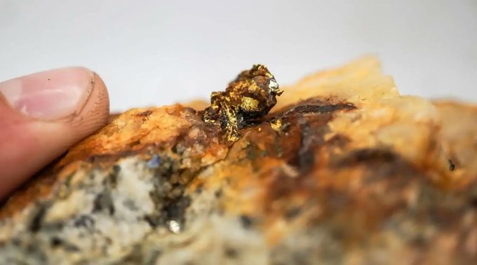 German media <a href="/GOLDINVEST_en/">GOLDINVEST Global</a>, a site we sponsor, reports on analyst Stifel Canada's recent site visit seeing positive upside in our Golden Triangle opportunity, and updated details of our ambitious exploration programs in this region. #Assays pending. Click to access.
👉