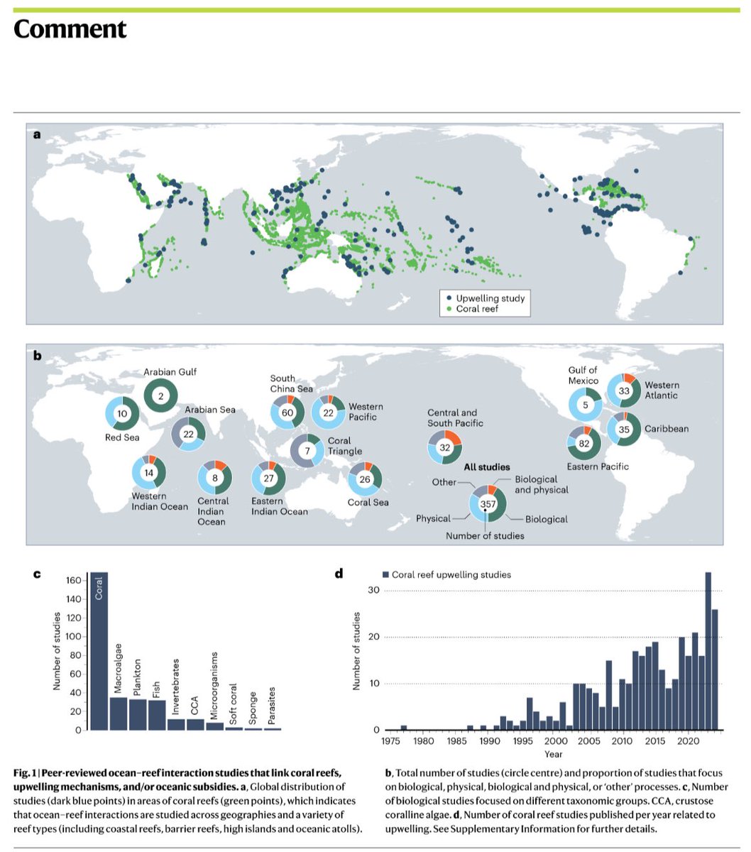 Laura Richardson tweet media