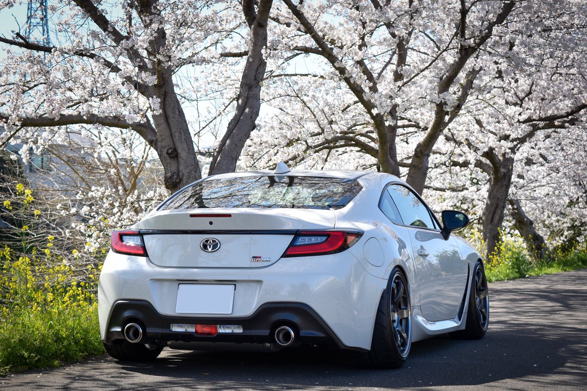 #斜め後ろからの姿も美しい見た人もやる