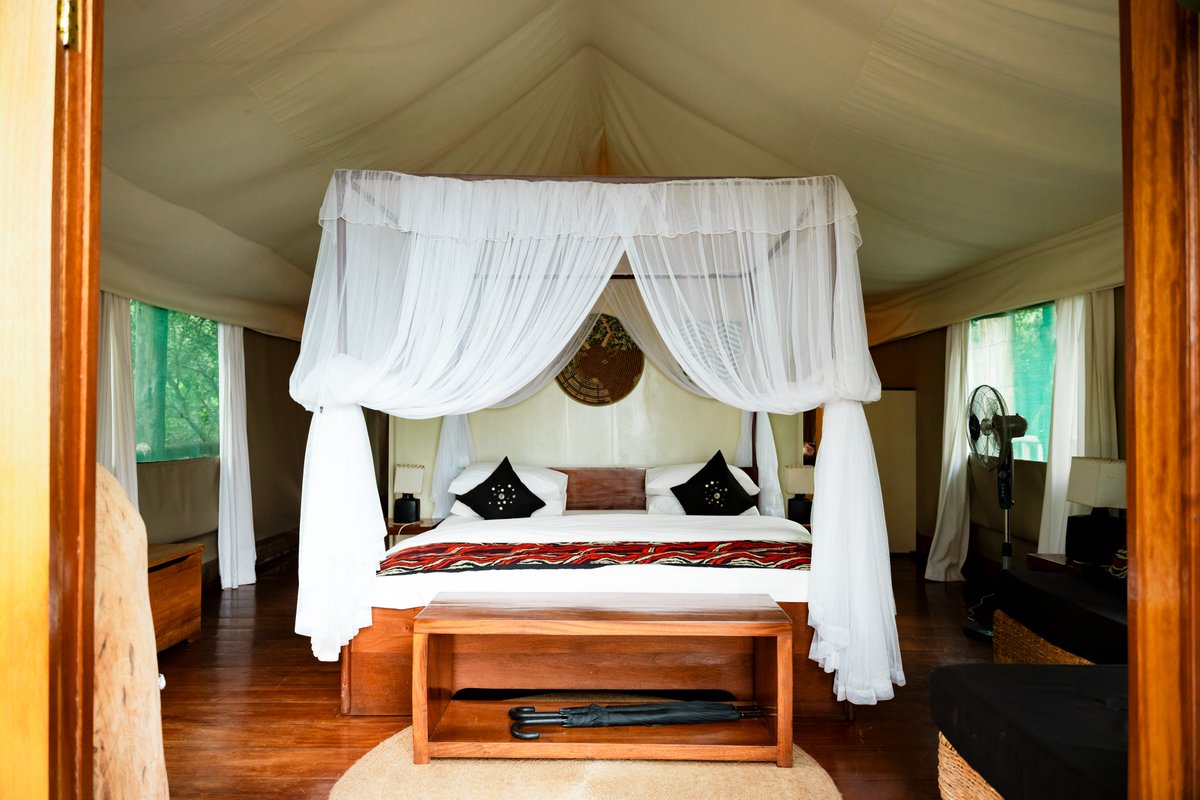 Akagera National Park tweet media