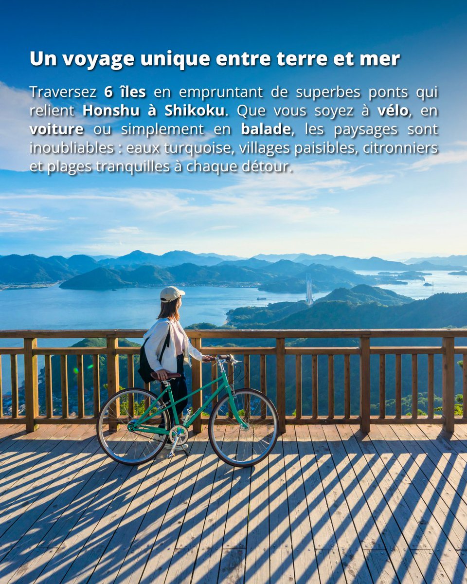 Japan Experience ✈️ tweet media