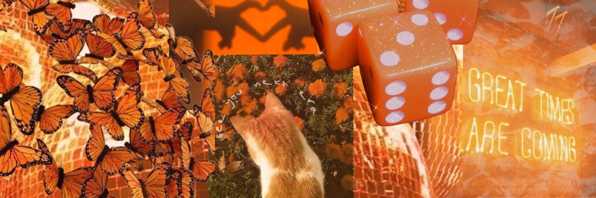tsloverlocks's tweet image. Free Taylor Swift layout
Orange aesthetic
Please retweet and like if you save -z🧡
see you next era
🧡🧡🧡🧡🧡🧡🧡🧡🧡🧡🧡🧡