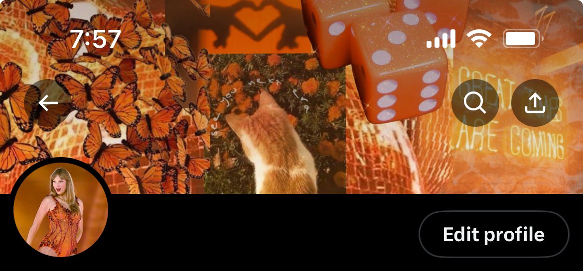 tsloverlocks's tweet image. Free Taylor Swift layout
Orange aesthetic
Please retweet and like if you save -z🧡
see you next era
🧡🧡🧡🧡🧡🧡🧡🧡🧡🧡🧡🧡