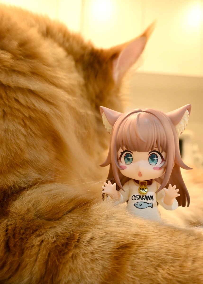 杏奈⭐️プロフ読んでくださいね。〉ドールクローゼット