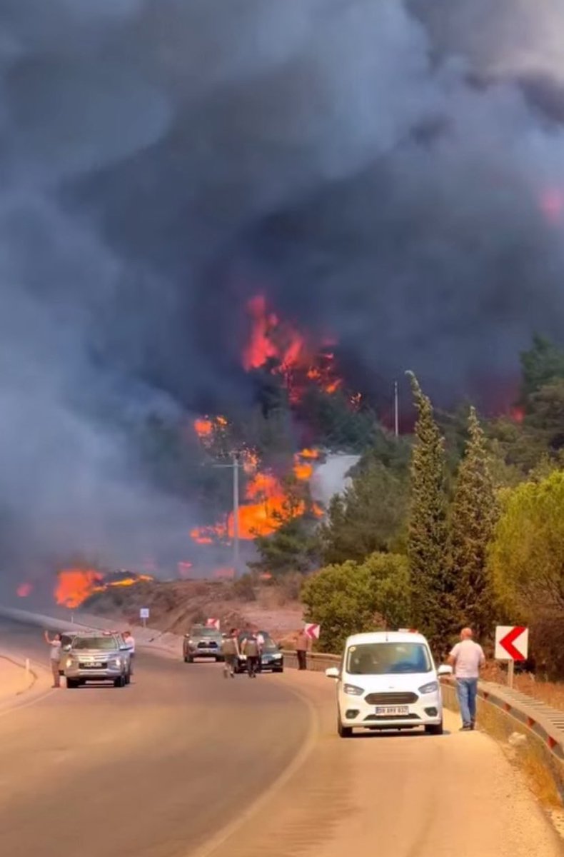 karşı kımzının koşu tweet media