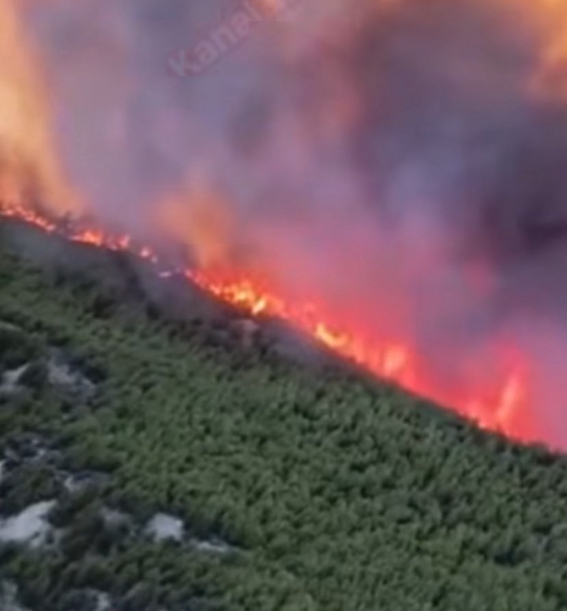 karşı kımzının koşu tweet media
