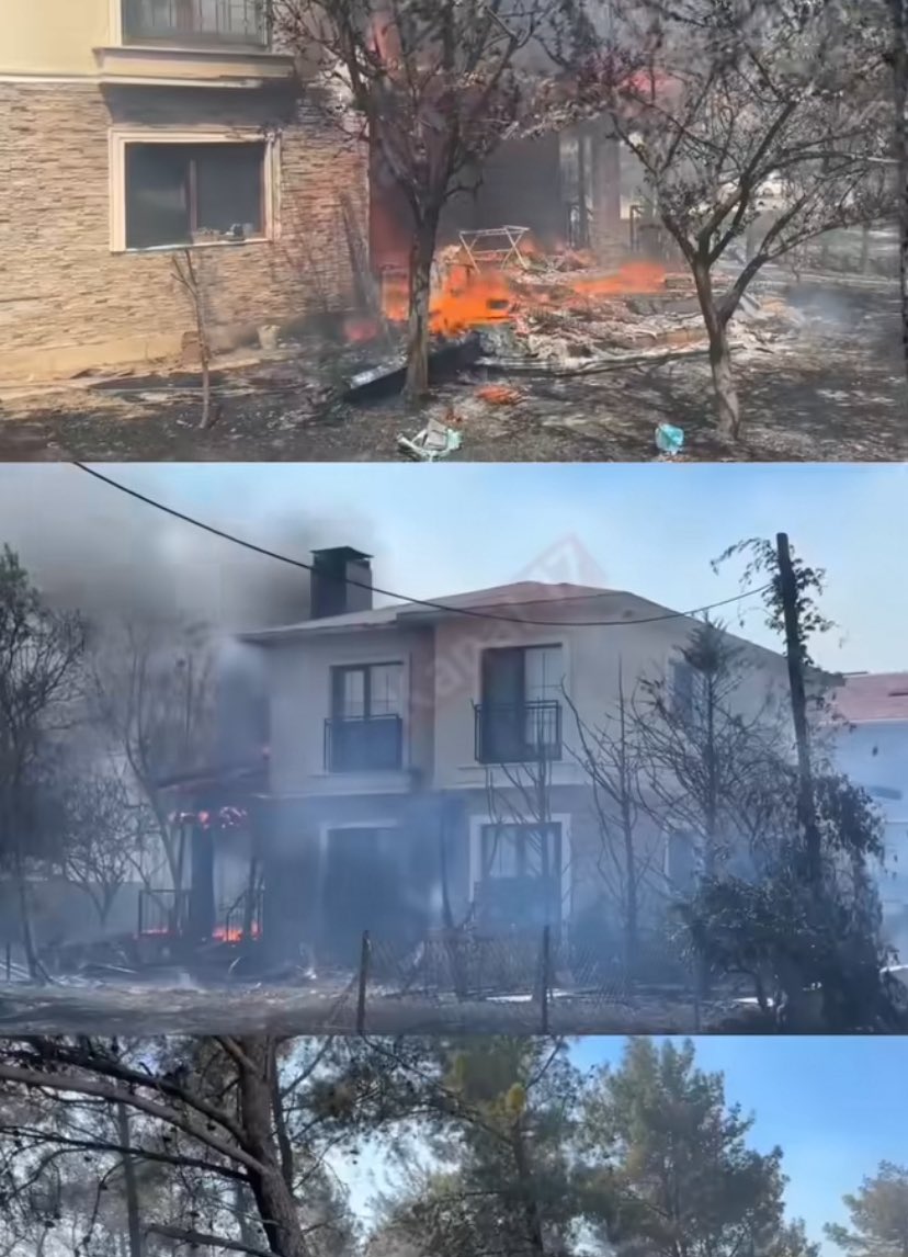 karşı kımzının koşu tweet media