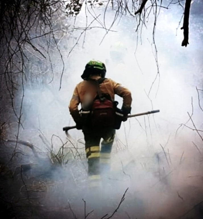 Cuando el humo se disipe te volverás a encontrar caminando solo.

Cuando bajen las temperaturas volveras a ser prescindible (muchos compañeros irán a la calle)

Las primeras lluvias de nuevo se llevarán tu oficio al abandono (pésimas condiciones laborales).

BOMBERO FORESTALES.
