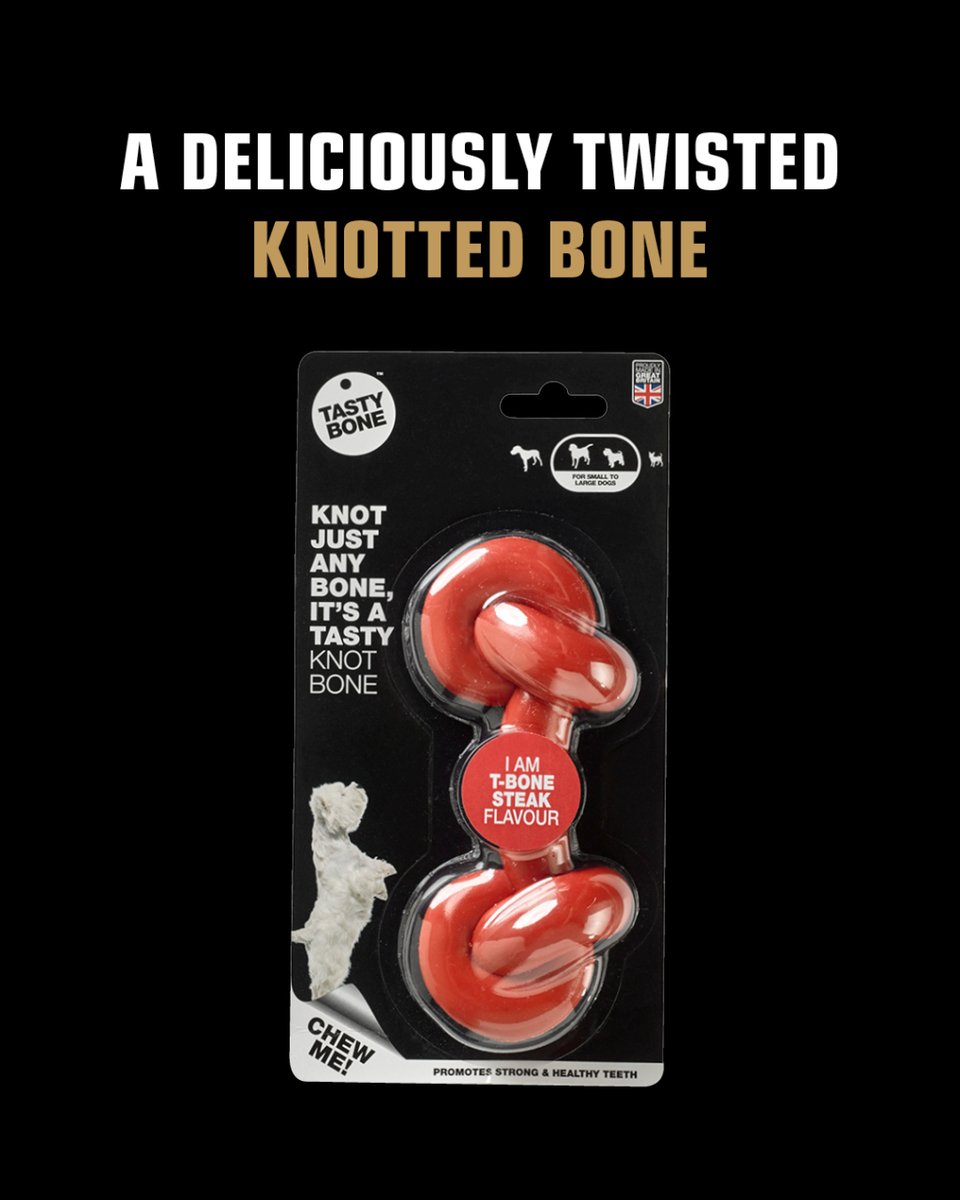 TastyBone_UK's tweet photo. What’s your dog’s TastyBone favourite? 🦴

Do they go crazy for the knobbly Trio Bone, savour every bite of the yummy Knot Bone, or stick to the classics with the super tough TastyBone?

Let us know which one gets their tail wagging! https://t.co/XhfBPfmuq8