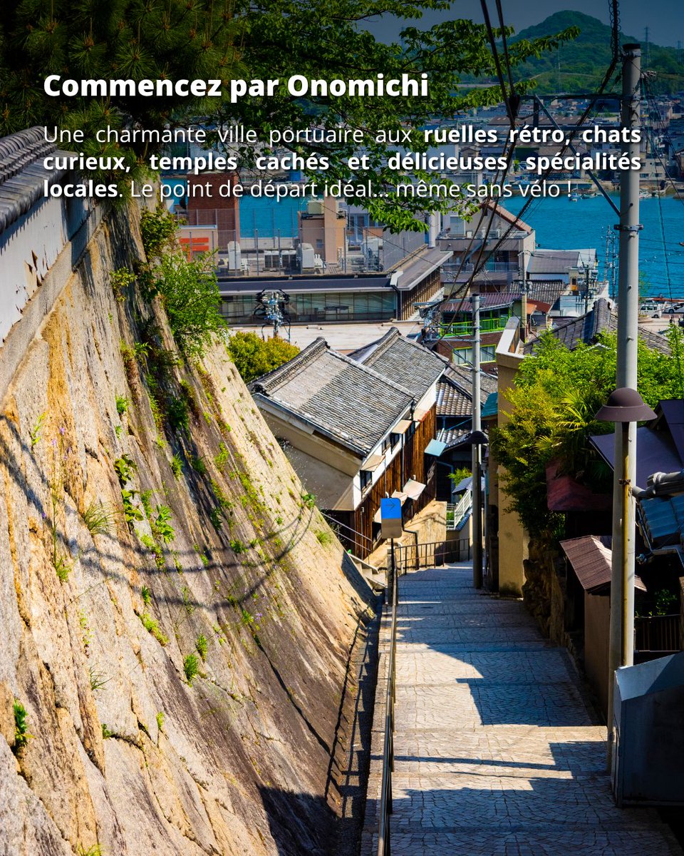 Japan Experience ✈️ tweet media