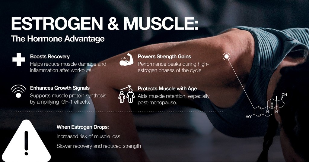 aminocompany's tweet photo. Estrogen is crucial for muscle function, as it modulates inflammation, enhances satellite cell activation, and improves collagen synthesis. These effects promote faster recovery, greater endurance, and a lower risk of injury in women.

https://t.co/Hg4SuEEv5E

#Amino #Aminoco https://t.co/oaykgXQdwa