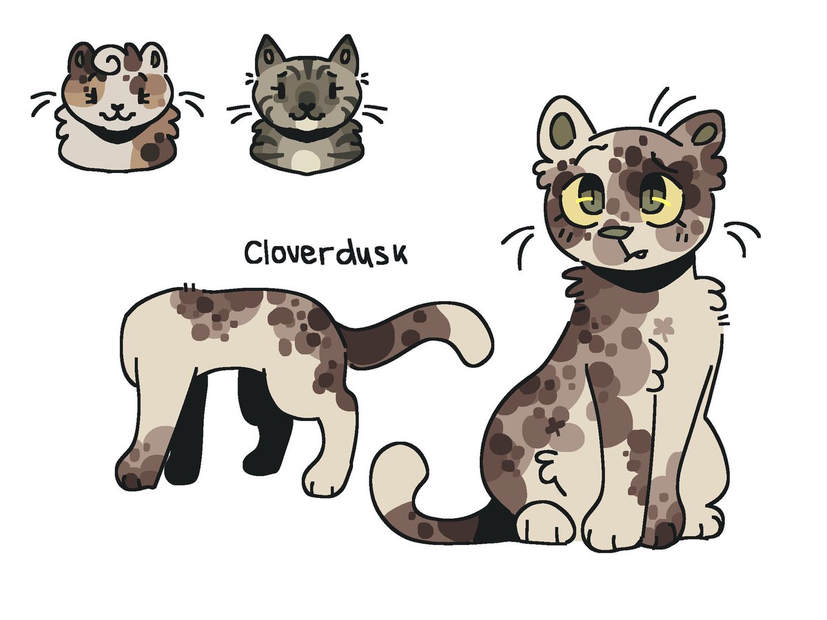 umbrellabouquet's tweet photo. hypokits for sale on my k0fi!
https://t.co/a9uassElU9
#sorreltail #leafpool #bumblestripe #antpelt #whitestorm #tigerstar #hazeltail #hollyleaf #wctwt #warriorcats https://t.co/x7u0tFIG9y