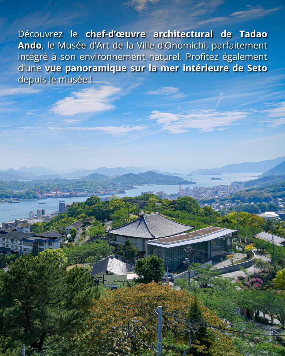 Japan Experience ✈️ tweet media