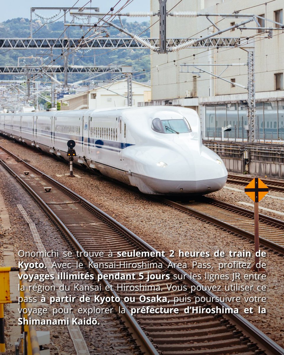 Japan Experience ✈️ tweet media