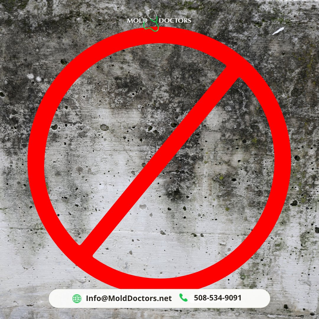 MoldDoctors's tweet photo. Mold spreads FAST—especially after leaks or floods.
Act now to protect your health and home.

Call Mold Doctors for safe, effective remediation.
📞 (508) 534-9091 | 🌐 https://t.co/Qm7IrP1OKG

#MoldRemediation #FloodDamage https://t.co/vWS2clXfH5