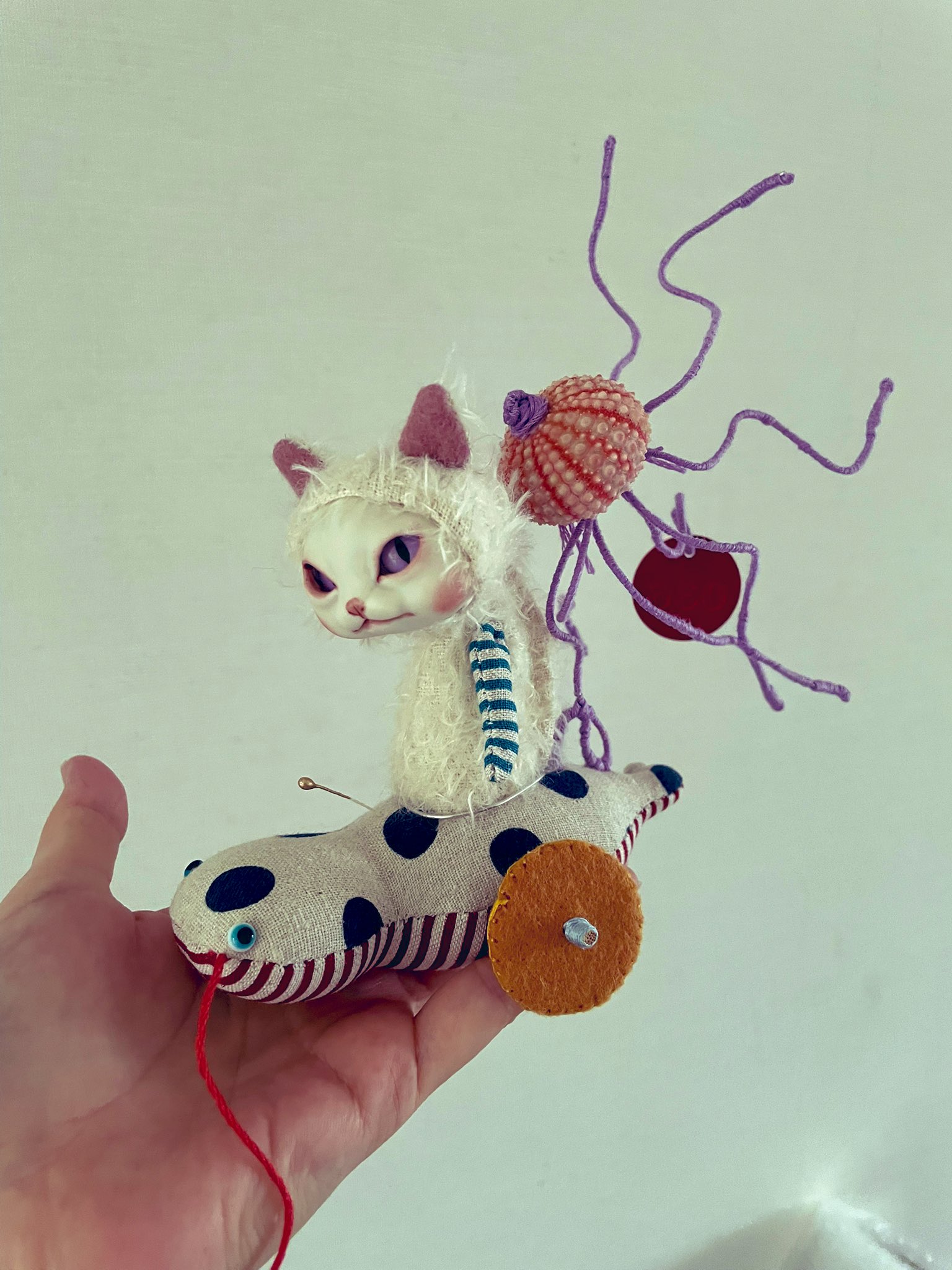 ⭐︎雪丸ページ⭐︎のびねこ新潟2種⑦ マル様専用（⭐︎雪丸様専用ページ⭐︎のびねこ新潟2種⑦）
