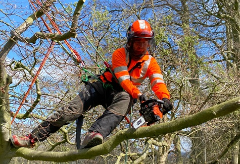 ServiceDealer's tweet photo. ๐ฒ @MaintenanceLowe is now an Echo affiliated training centre! ๐งโ๐ซ
Read the latest from Echo distributorย @FGM_Claymore. ๐ https://t.co/DKTpcJQytj
#Chainsaw #MachineryTraining #EchoTools #IndustryTraining https://t.co/yXUBWUHtNy