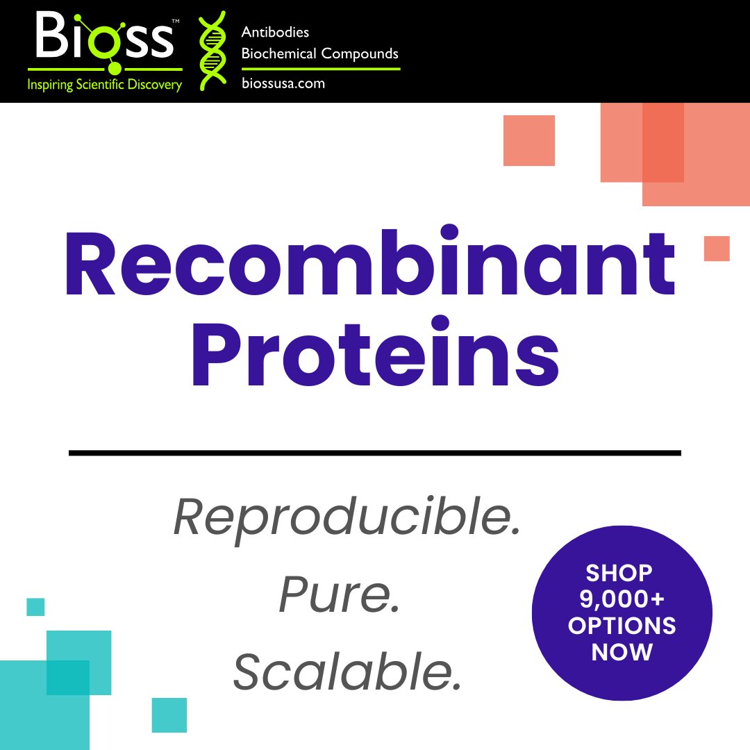 Recombinant Proteins, Refined for Your Research! Browse our full selection today: hubs.ly/Q03B01sy0