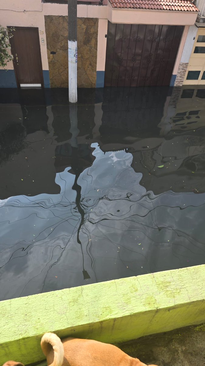 Union Politica Juvenil tweet media