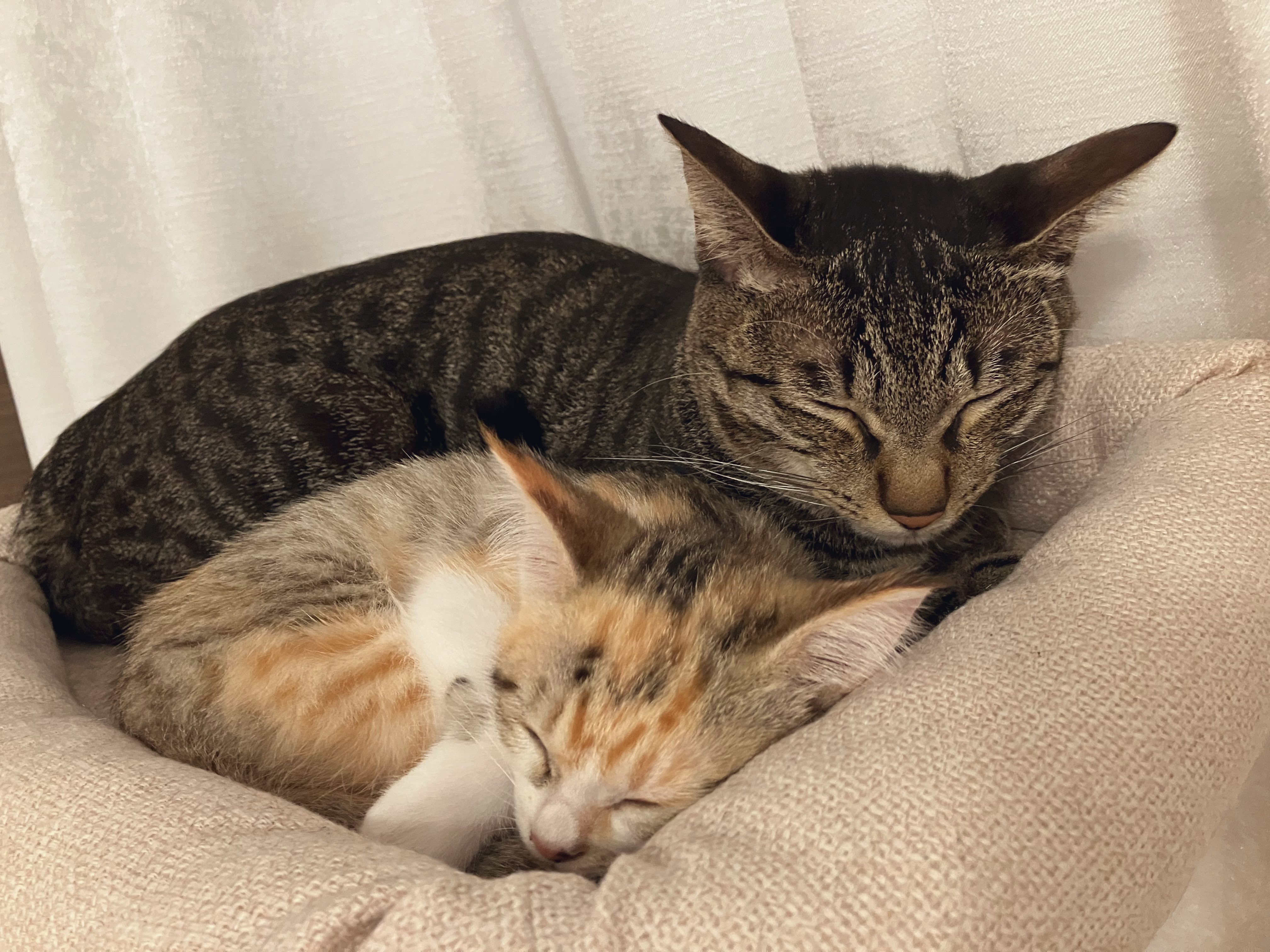 まーちゃん専用ページ(*´︶`*)*.+゜ まーさん〜プロフ必読
