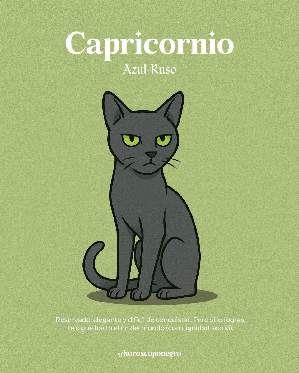 Aquí está el gato que te representa según tu signo 🐈