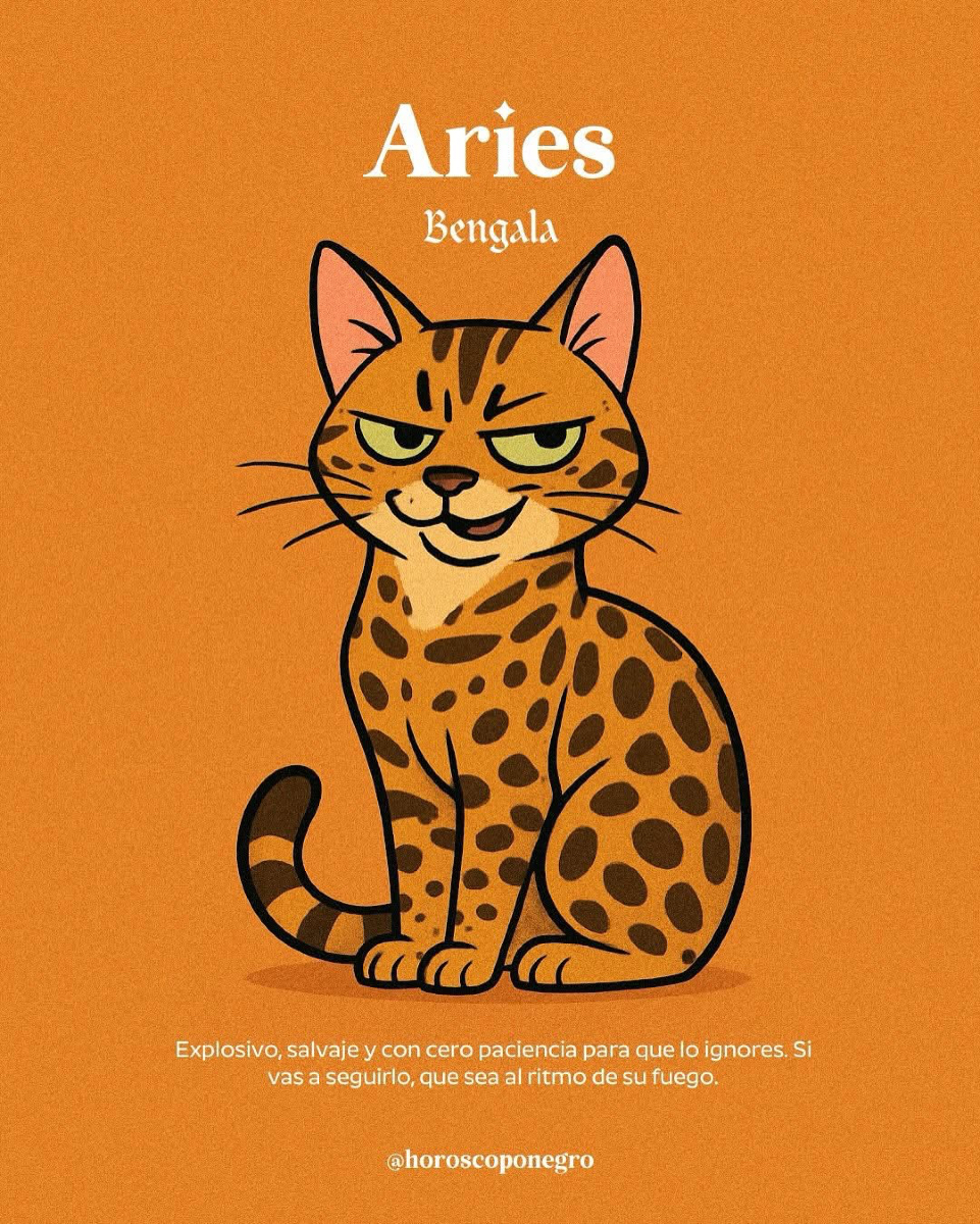 Aquí está el gato que te representa según tu signo 🐈