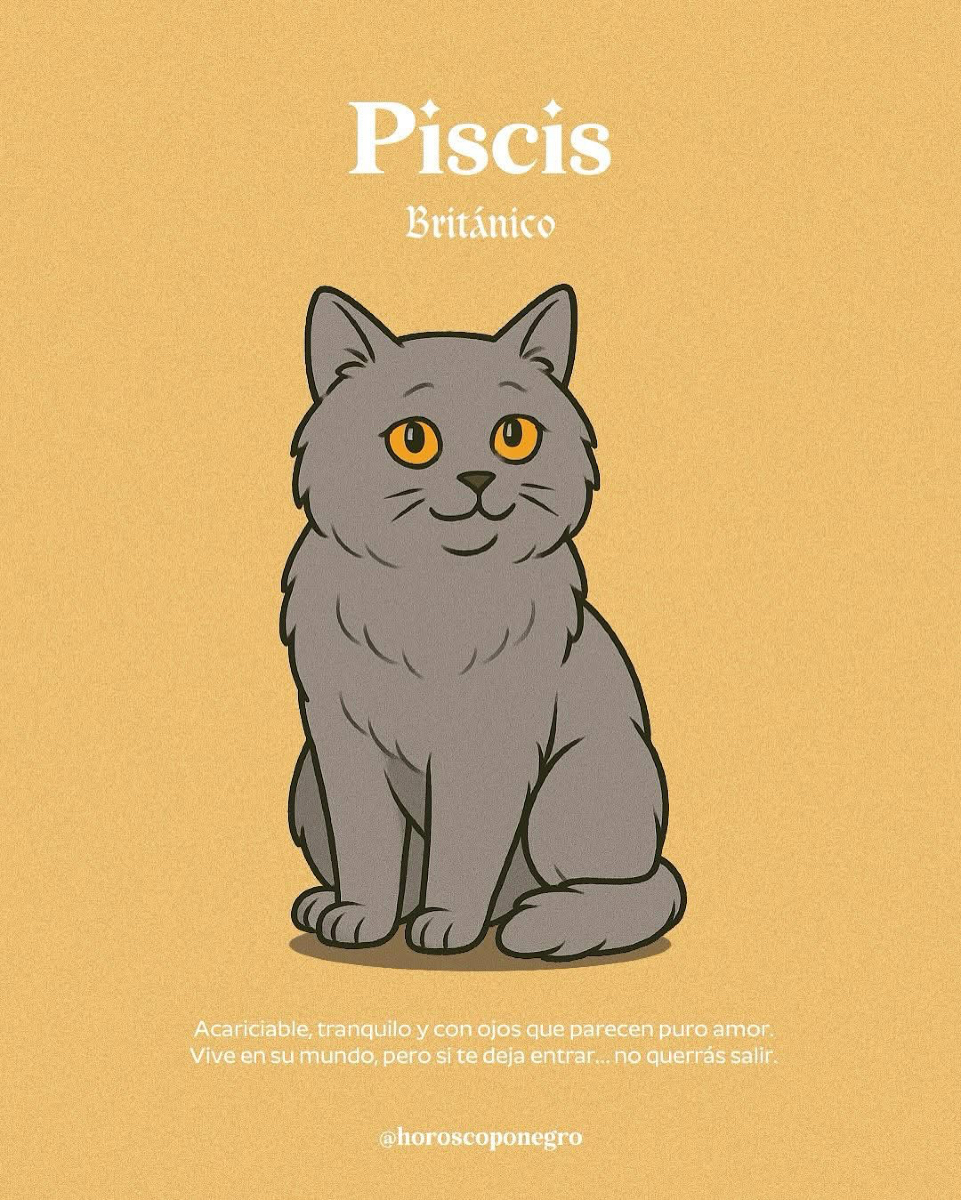 piscis_hn's tweet image. Aquí está el gato que te representa según tu signo 🐈