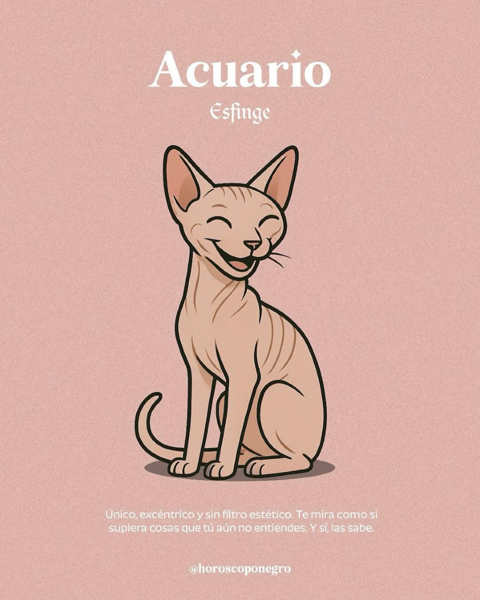 Aquí está el gato que te representa según tu signo 🐈
