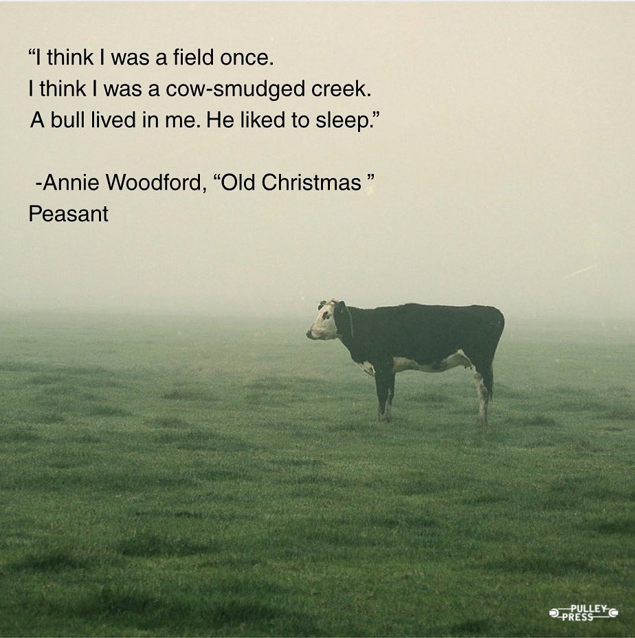 A quote from our upcoming book “Peasant”, by poet Annie Woodford to start off your week🐄🌫️

#poet #poetry #book #nature #writer #write #author #books #booktok #bookstagram